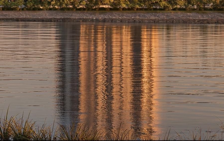The tower's reflection on water at dusk